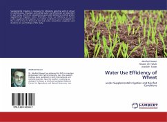 Water Use Efficiency of Wheat