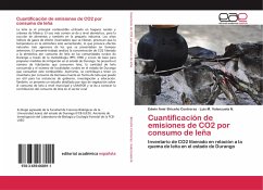 Cuantificación de emisiones de CO2 por consumo de leña