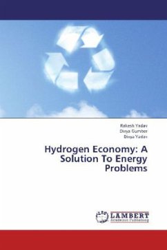 Hydrogen Economy: A Solution To Energy Problems