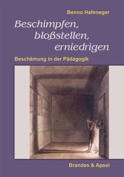 Beschimpfen, bloßstellen, erniedrigen (eBook, PDF) - Hafeneger, Benno