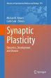 Synaptic Plasticity (eBook, PDF) - Bild 1