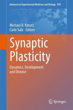 Synaptic Plasticity (eBook, PDF)