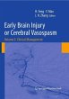 Early Brain Injury or Cerebral... - Bild 1