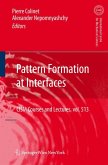 Pattern Formation at Interfaces (eBook, PDF)