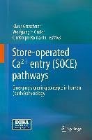 Store-operated Ca2+ entry (SOCE) pathways (eBook, PDF)