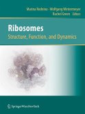 Ribosomes Structure, Function, and Dynamics (eBook, PDF)