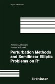Perturbation Methods and Semilinear Elliptic Problems on R^n (eBook, PDF)