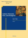 Sodium Channels, Pain, and Analgesia (eBook, PDF)