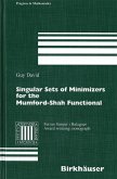 Singular Sets of Minimizers for the Mumford-Shah Functional (eBook, PDF)