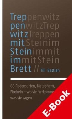 Treppenwitz mit Stein im Brett (eBook, ePUB) - Bastian, Till