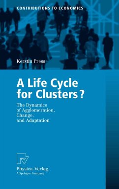A Life Cycle for Clusters? (eBook, PDF)