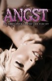 Angst (eBook, ePUB)