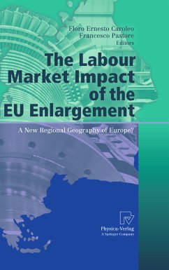 The Labour Market Impact of the EU Enlargement (eBook, PDF)