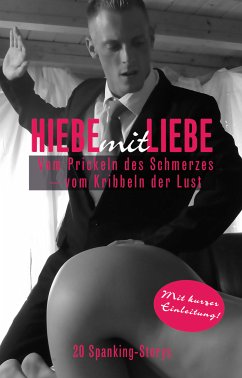 Hiebe mit Liebe (eBook, ePUB) - Zech, Anna; Freese, Linda; Eister, Miriam; Reiser, Norbert S. P.; Rider, Fred; Sweet, Phillis; Bertini, Diane; Pond, Mark