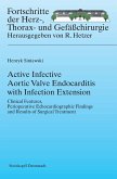 Active Infective Aortic Valve Endocarditis with Infection Extension (eBook, PDF)