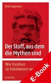 Der Stoff, aus dem die Mythen sind (eBook, PDF)