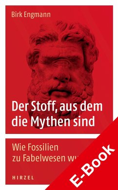 Der Stoff, aus dem die Mythen sind (eBook, PDF) - Engmann, Birk