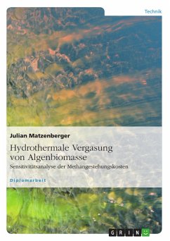 Hydrothermale Vergasung von Algenbiomasse (eBook, PDF)