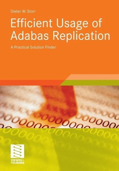 Efficient Usage of Adabas Replication (eBook, PDF)