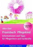 Praxisbuch Pflegekind (eBook, PDF)