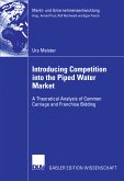 Introducing Competition into the Piped Water Market (eBook, PDF)