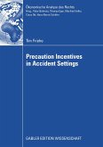 Precaution Incentives in Accident Settings (eBook, PDF)