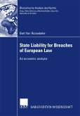 State Liability for Breaches of European Law (eBook, PDF)