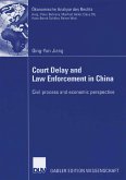 Court Delay and Law Enforcement in China (eBook, PDF)