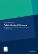 Public Sector Efficiency (eBook, PDF) - Bild 1