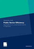 Public Sector Efficiency (eBook, PDF)