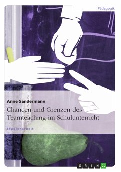 Chancen und Grenzen des Teamteaching im Schulunterricht (eBook, PDF)