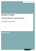 Selbsterfüllende Prophezeiungen (eBook, PDF)