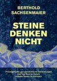 Steine denken nicht (eBook, ePUB)