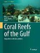 Coral Reefs of the Gulf (eBook, PDF) - Bild 1