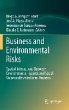 Business and Environmental Risks... - Bild 1
