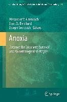 Anoxia (eBook, PDF)