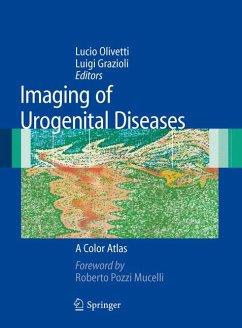 Imaging of Urogenital Diseases (eBook, PDF)