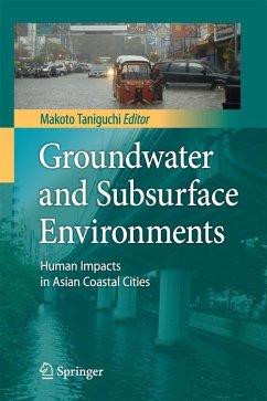 Groundwater and Subsurface Environments (eBook, PDF)