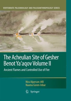 The Acheulian Site of Gesher Benot Ya’aqov Volume II (eBook, PDF) - Alperson-Afil, Nira; Goren-Inbar, Naama
