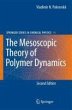 The Mesoscopic Theory of Polymer... - Bild 1