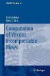 Computation of Viscous Incompressible... - Bild 1