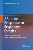 A Structural Perspective on Respiratory Complex I (eBook, PDF)