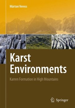 Karst Environments (eBook, PDF) - Veress, Márton