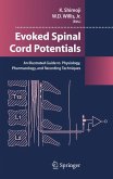 Evoked Spinal Cord Potentials (eBook, PDF)