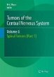 Tumors of the Central Nervous System,... - Bild 1