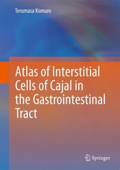 Atlas of Interstitial Cells of Cajal in the Gastrointestinal Tract (eBook, PDF) - Komuro, Terumasa