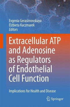 Extracellular ATP and adenosine as regulators of endothelial cell function (eBook, PDF)