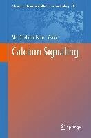Cover Calcium Signaling (eBook, PDF)