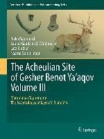 The Acheulian Site of Gesher Benot Ya'aqov Volume III (eBook, PDF) - Rabinovich, Rivka; Gaudzinski-Windheuser, Sabine; Kindler, Lutz; Goren-Inbar, Naama