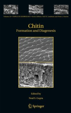 Chitin (eBook, PDF)